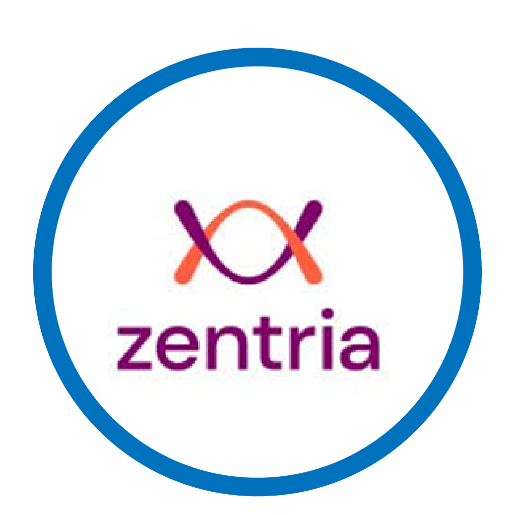 DISENOS WEB 17